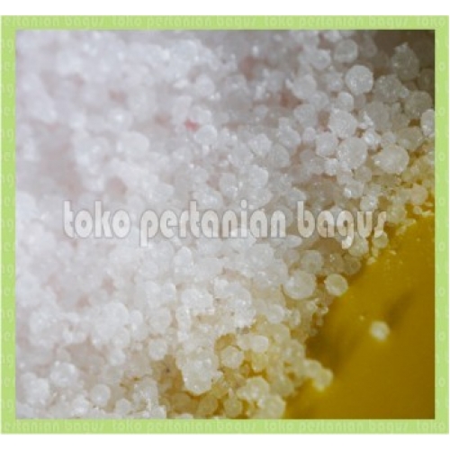 urea urea
